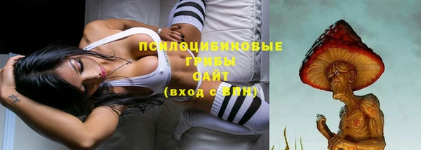 apvp Нефтегорск