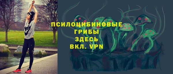 ГАЛЛЮЦИНОГЕННЫЕ ГРИБЫ Алексеевка