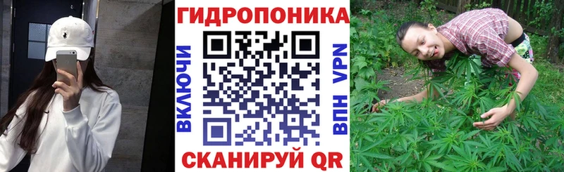 omg как войти  Шелехов  Канабис Ganja 